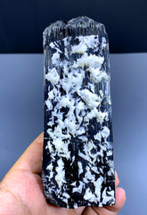 Amazing Schorl Black Tourmaline with Albite from Pakistan - 499 gram